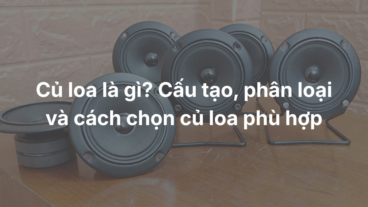 Củ loa là gì? Cấu tạo, phân loại và cách chọn củ loa phù hợp